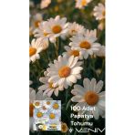 100 Adet Papatya Tohumu 2 Paket