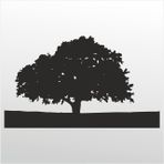 100 cm Ağaç Folyo Sticker
