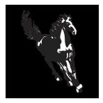 100 cm At Folyo Sticker