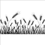 100 cm Buğday Başak Folyo Sticker