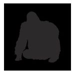 100 cm Goril Folyo Sticker