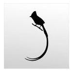 100 cm Hint Bülbülü Folyo Sticker