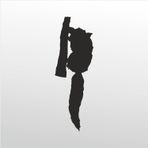 100 cm Rakun Folyo Sticker