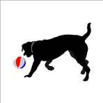 100 cm Top Oynayan Köpek Folyo Sticker