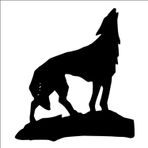 100 cm Uluyan Kurt Folyo Sticker