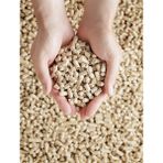 %100 Doğal Çam Peleti Kedi Kumu 20 kg (40LT)