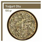 100 gr Yoğurt Otu