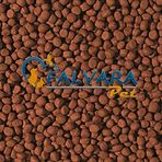 100 Gram Tropical Cichlid Carnivore Medium Pellet Büyük Granül Balık Yemi