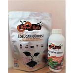 %100 Organik Vermisafa Solucan Gübresi 2 Kg Katı + 1 Lt Sıvı