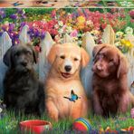 100 Parça Puzzle Poz Veren Yavru Köpekler