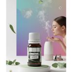 %100 Saf ve Yoğun Okaliptus Çiçeği Esansı -Ütü, Buhardanlık ve Koku Makineleri İçin 10 ml 722811