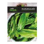 1000 Adet Kuzu Kulağı/ekşiotu Tohumu