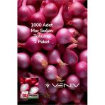 1000 Adet Mor Soğan Tohumu 2 Paket