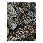 1000 Gram Doğal Çam Kozalak Çırası 1 Kg Çıra Mangal ,Soba, Şömine ,Barbekü, Mangal Tutuşturucu