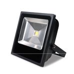 100w Led Projektör