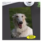 103188649 Rus Borzoy Cinsi Köpek 240 Parça Puzzle Yapboz