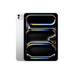 11 inç iPad Pro Wi-Fi 256GB Standart Camlı - Gümüş (Teşhir)