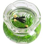 1/12 Minyatür Balık Kase Masa Akvaryum Dollhouse Masaüstü Süsler Için Dekor Siyah