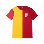11teamsports Galatasaray İstanbul 5 Yıldızlı Tişört Çok Renkli M Erkek