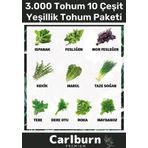 12 Ay Ekim Yapılabilen 3.000 Tohum Ayrı Ayrı Paketli 10 Çeşit Yeşillik Sürdürülebilir Tohum Paketi