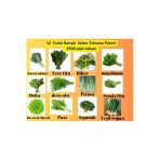 12 Çeşit Sebze Tohum Paketi - Maydanoz, Tere, Roka, Dereotu ,soğan,ıspanak ,marul,biber,pırasa,pazı