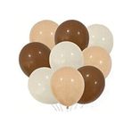 12 İnç Kahverengi-deniz Kumu-ten Rengi 10 Adet Balon