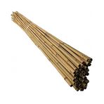 120 Cm Doğal Bambu Bitki Destek Çubuğu 10 Adet 5-10 mm