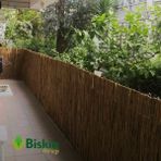 120CM Yükseklik x 100CM Genişlik Doğal Bambu Kamış Hasır Çit Dekoratif Bahçe Balkon ve Duvar Çiti Reed Fence