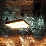 120w Lm301h LED Büyüme Lambası, Asılabilir Sera Işığı, Tam Spektrum, İç Mekan Bitki Aydınlatması, Grow Light,Plant Lamp, Indoor Grow Led,Bitki Yetiştirme Lambası Led Full Spektrum