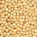1,25 kg Kavrulmuş Fındık İçi