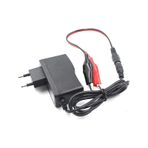 12V 1000Ma Kursun Asit Kuru Aku Sarj Adaptoru Aku Takviye Cihazi Soketli Krokodilli