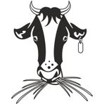 130 cm İnek Folyo Sticker