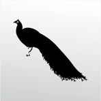 130 cm Tavuz Kuşu Folyo Sticker
