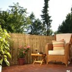 135CM Yükseklik x 250CM Genişlik Doğal Bambu Kamış Hasır Çit Dekoratif Bahçe Balkon ve Duvar Çiti Reed Fence