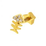 14 Ayar Altın Balık Tragus Küpe