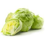 150+ Iceberg Göbek Marul Tohumu N11.3509