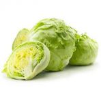 150+ Iceberg Göbek Marul Tohumu N11.3510
