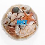 15030 Akvaryum Dekoru Deniz Kabuğu Sepetli 12 Cm Çap'ında 4 Cm Derinliğinde Karışık Kabuk