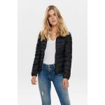 15156569 Kapşonlu Kısa Şişme Mont Black - Siyah - XL