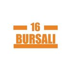 16 Bursalı Araba Sticker 17X17 Cm Turuncu