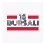 16 Bursalı Plaka Araba Sticker Yapıştırması
