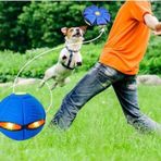 16 cm Işıklı Zıplayan Frizbi Köpek Oyun Topu Diskten Topa Dönüşen Uçan Disk Plaj Bahçe Oyuncağı Top