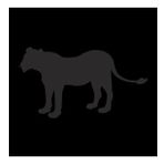 160 cm Aslan Folyo Sticker