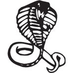 160 cm Cobra Folyo Sticker