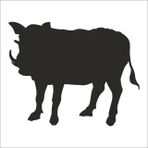 160 cm Domuz Folyo Sticker