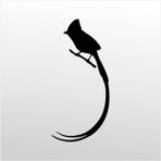 160 cm Hint Bülbülü Folyo Sticker