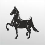 160 cm Kral Folyo Sticker