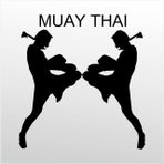 160 cm Muay Thai Folyo Sticker