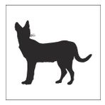 160 cm Vaşak Folyo Sticker