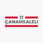 17 Çanakkaleli Plaka Araba Sticker Yapıştırması